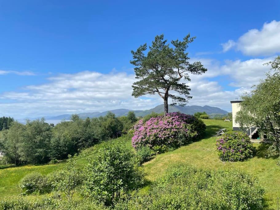1 Bedroom With Mountain & Loch Views - Quiet Location Between Glencoe & Ben Nevis Corran (Lochaber, Highlands)